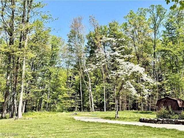 6859 Fairground Blvd, Canfield, OH 44406 - view of green lawn featuring a shed, an outdoor structure, and a wooded view