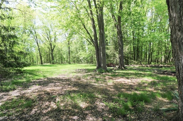 36751 Sugar Ridge Rd, North Ridgeville, OH 44039 - view of tree filled area
