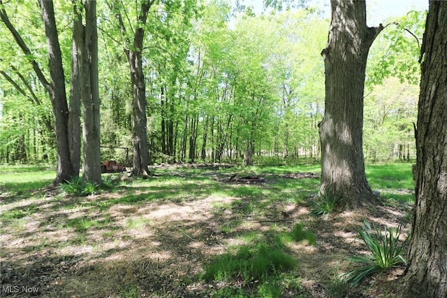 36751 Sugar Ridge Rd, North Ridgeville, OH 44039 - view of woods