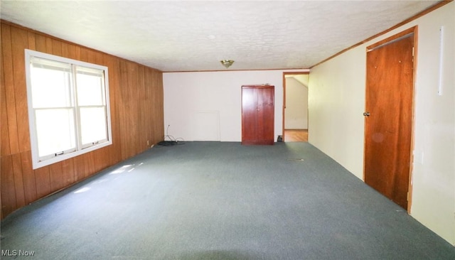 36751 Sugar Ridge Rd, North Ridgeville, OH 44039 - carpeted empty room featuring wood walls and a textured ceiling