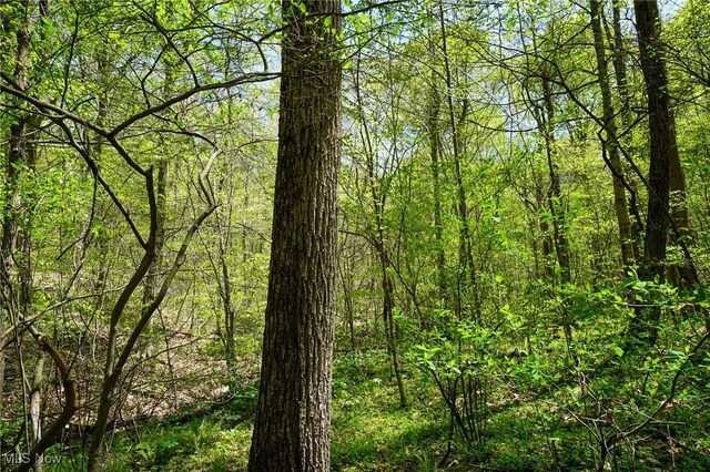 Sealover Hollow Rd, Philo, OH 43771
