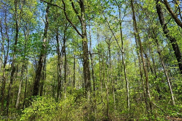 Sealover Hollow Rd, Philo, OH 43771