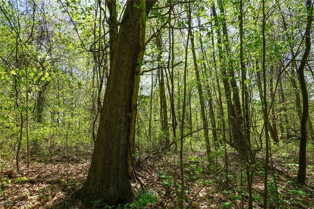Sealover Hollow Rd, Philo, OH 43771