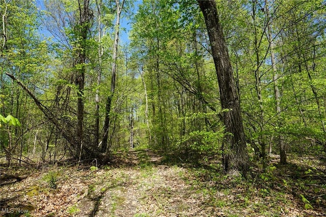 Sealover Hollow Rd, Philo, OH 43771