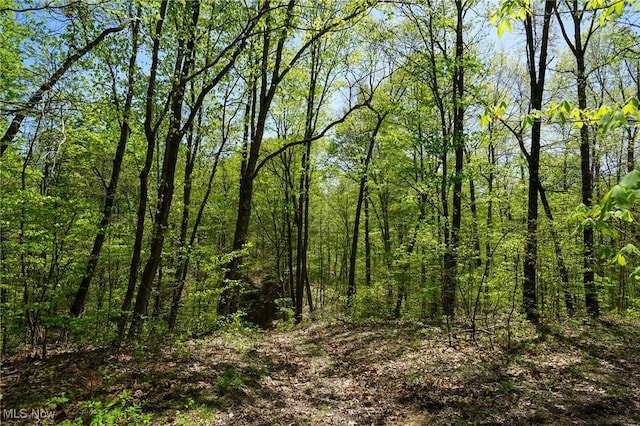 Sealover Hollow Rd, Philo, OH 43771