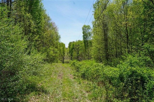 Sealover Hollow Rd, Philo, OH 43771