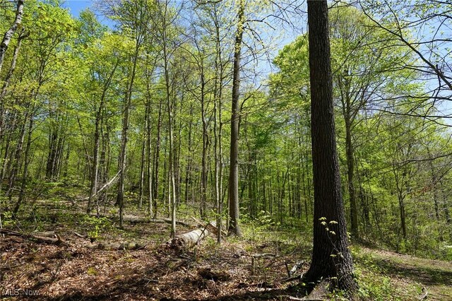 Sealover Hollow Rd, Philo, OH 43771