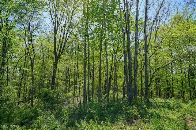 Sealover Hollow Rd, Philo, OH 43771