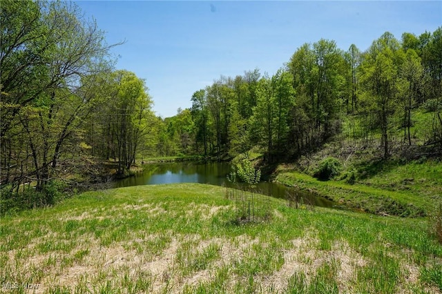 Sealover Hollow Rd, Philo, OH 43771
