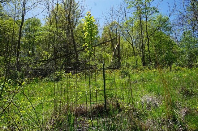 Sealover Hollow Rd, Philo, OH 43771