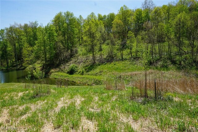 Sealover Hollow Rd, Philo, OH 43771