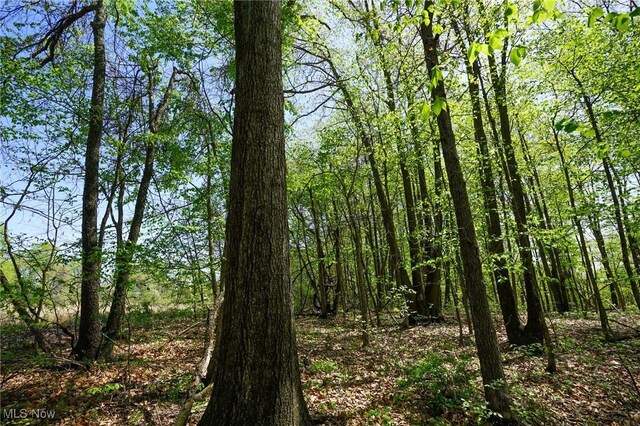 Sealover Hollow Rd, Philo, OH 43771