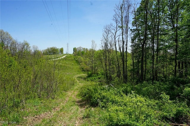 Sealover Hollow Rd, Philo, OH 43771