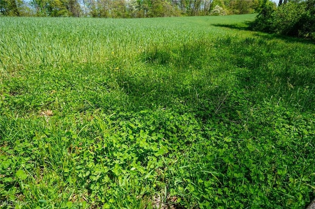 Sealover Hollow Rd, Philo, OH 43771