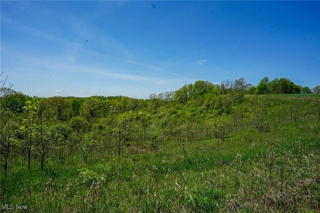 Sealover Hollow Rd, Philo, OH 43771