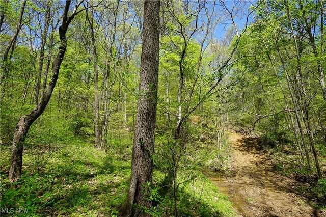 Sealover Hollow Rd, Philo, OH 43771
