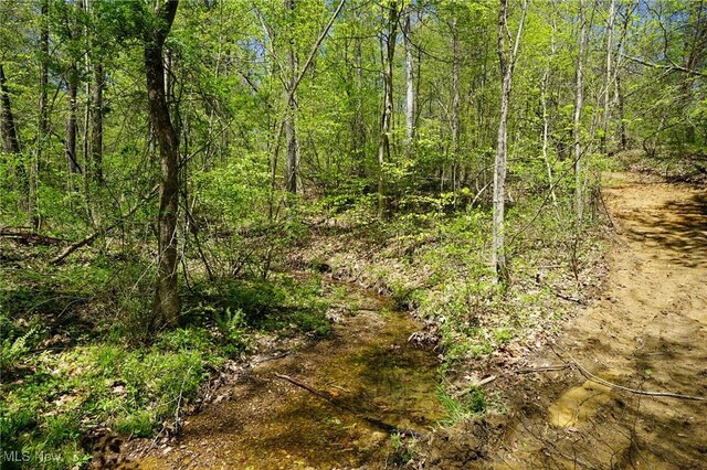 Sealover Hollow Rd, Philo, OH 43771
