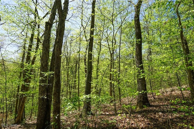 Sealover Hollow Rd, Philo, OH 43771