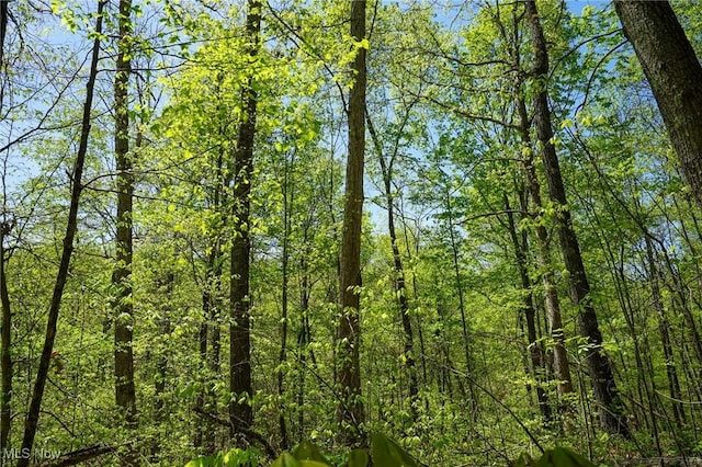Sealover Hollow Rd, Philo, OH 43771