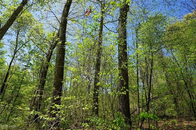 Sealover Hollow Rd, Philo, OH 43771