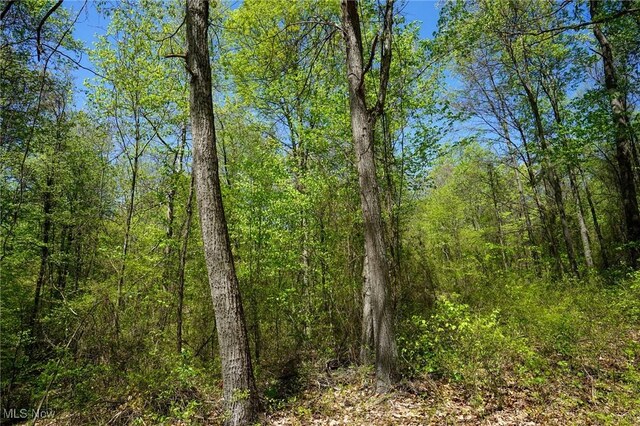 Sealover Hollow Rd, Philo, OH 43771