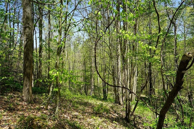Sealover Hollow Rd, Philo, OH 43771