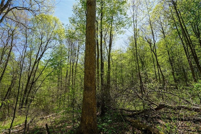 Sealover Hollow Rd, Philo, OH 43771