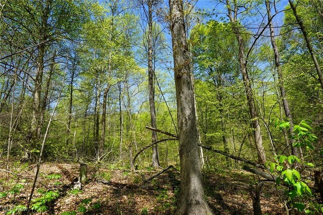 Sealover Hollow Rd, Philo, OH 43771