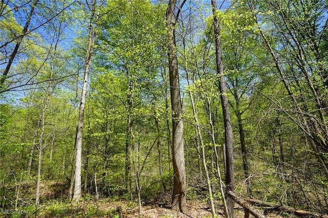 Sealover Hollow Rd, Philo, OH 43771