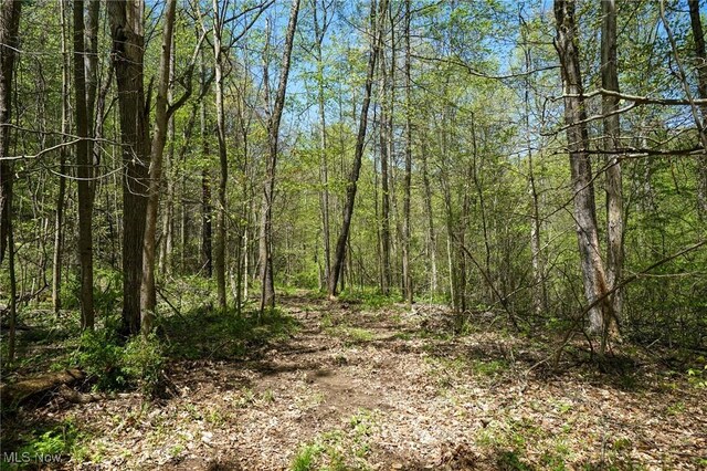 Sealover Hollow Rd, Philo, OH 43771