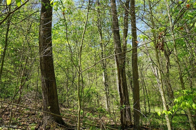 Sealover Hollow Rd, Philo, OH 43771