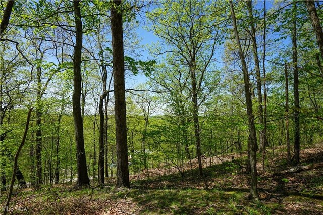 Sealover Hollow Rd, Philo, OH 43771
