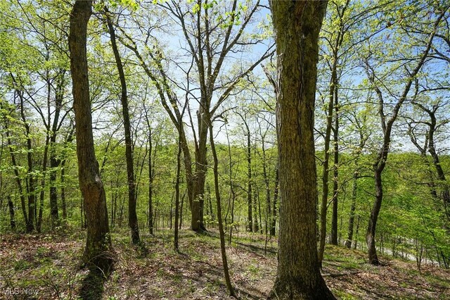 Sealover Hollow Rd, Philo, OH 43771