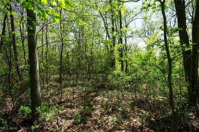 Sealover Hollow Rd, Philo, OH 43771