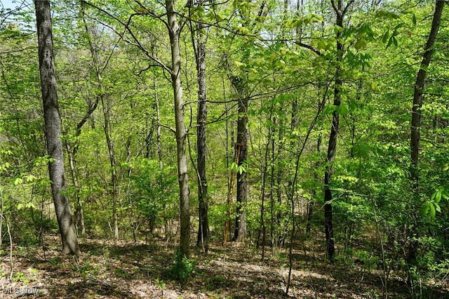 Sealover Hollow Rd, Philo, OH 43771