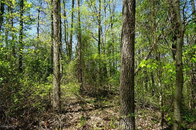Sealover Hollow Rd, Philo, OH 43771