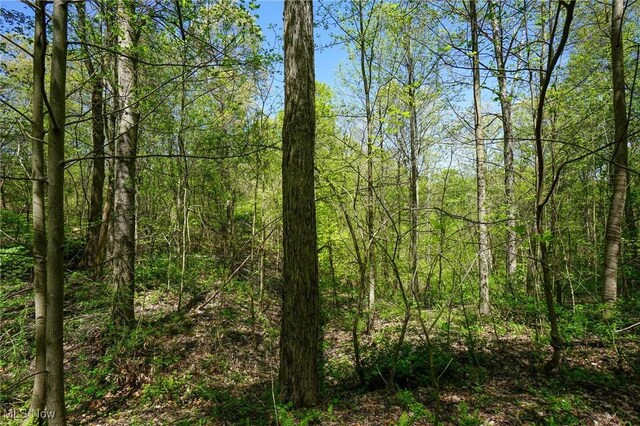 Sealover Hollow Rd, Philo, OH 43771