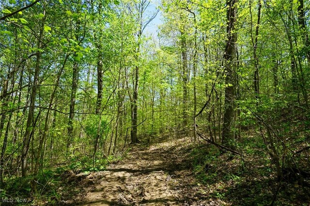 Sealover Hollow Rd, Philo, OH 43771