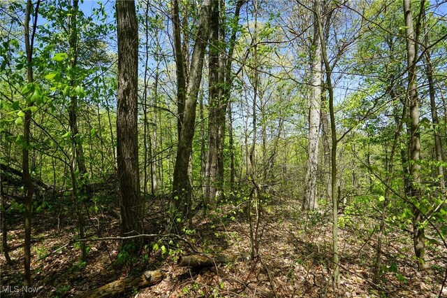 Sealover Hollow Rd, Philo, OH 43771