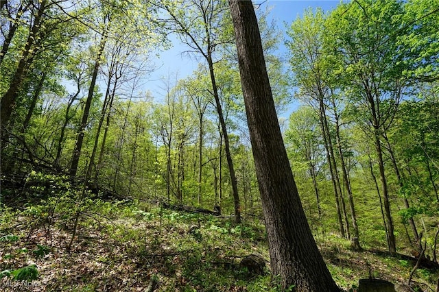 Sealover Hollow Rd, Philo, OH 43771