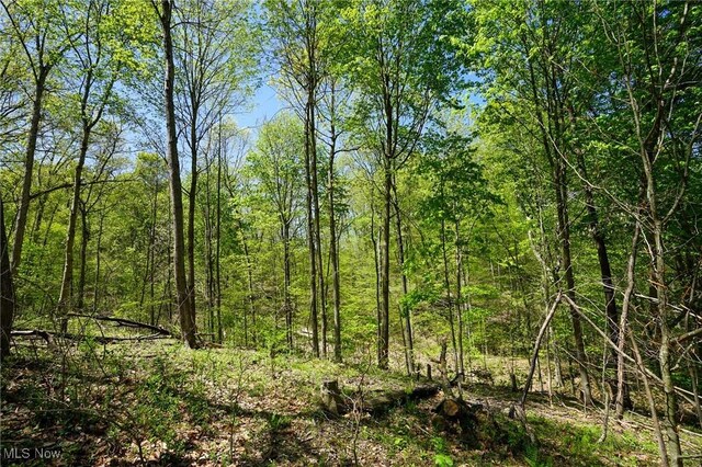 Sealover Hollow Rd, Philo, OH 43771