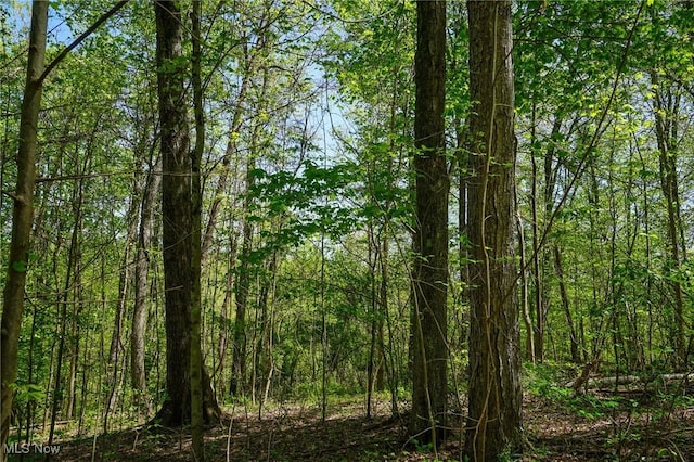 Sealover Hollow Rd, Philo, OH 43771