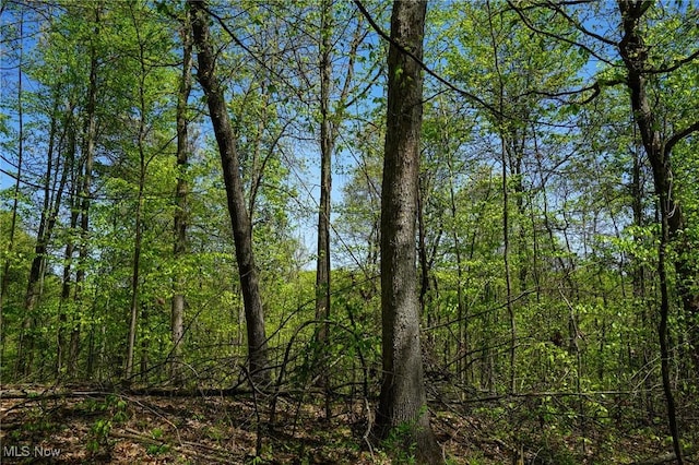Sealover Hollow Rd, Philo, OH 43771