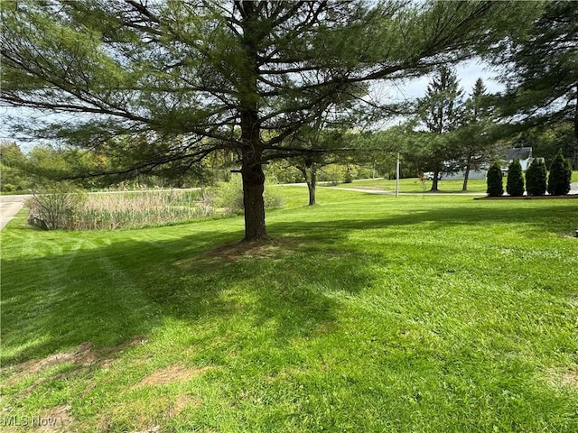 view of green lawn