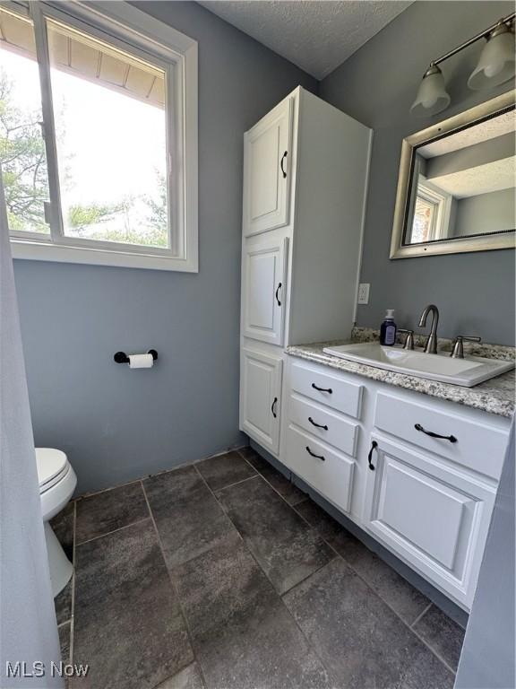 bathroom with toilet and vanity