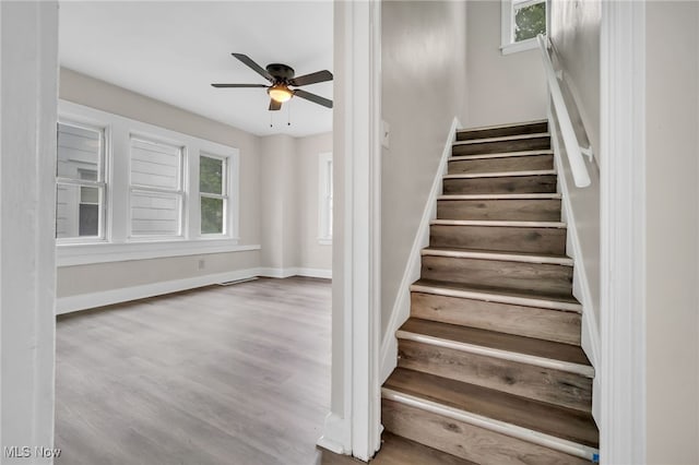 3692 E 118th St, Cleveland, OH 44105 - stairs featuring ceiling fan, plenty of natural light, wood finished floors, and baseboards