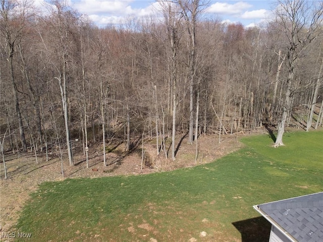 view of grassy yard