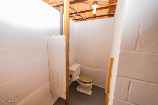 459 N Osborn Ave, Youngstown, OH 44509 - bathroom with concrete block wall and toilet