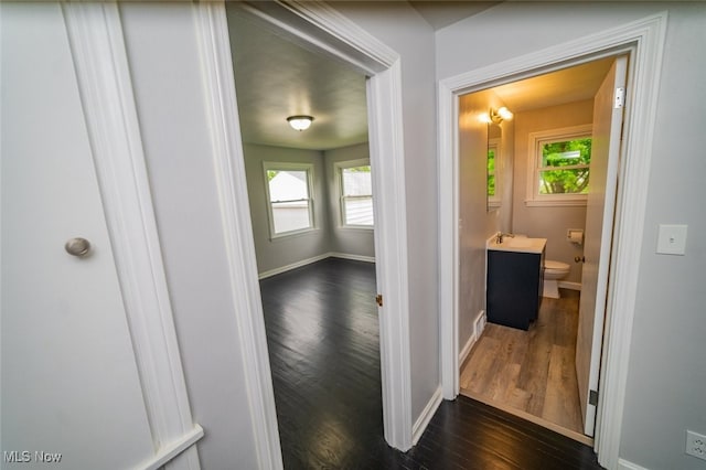 459 N Osborn Ave, Youngstown, OH 44509 - corridor featuring dark wood-style floors, baseboards, a sink, and plenty of natural light