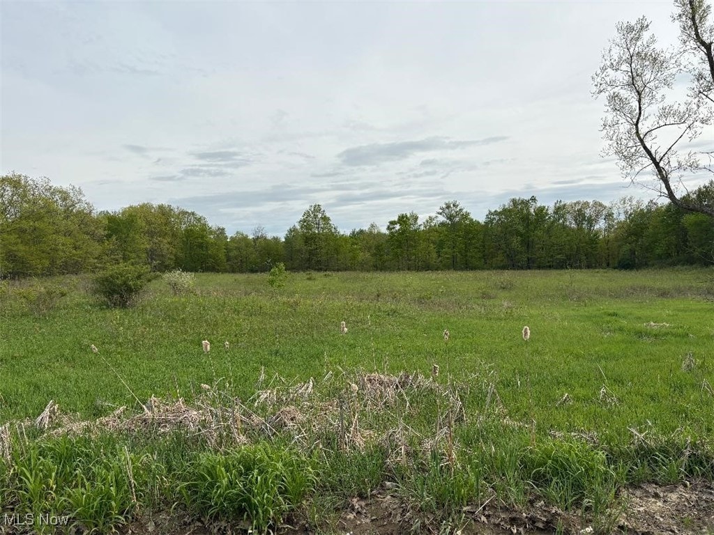 1648 2 Footville Richmond Rd, Jefferson, OH 44047 - photo 1